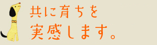 のびのびと過ごせる環境を目指して